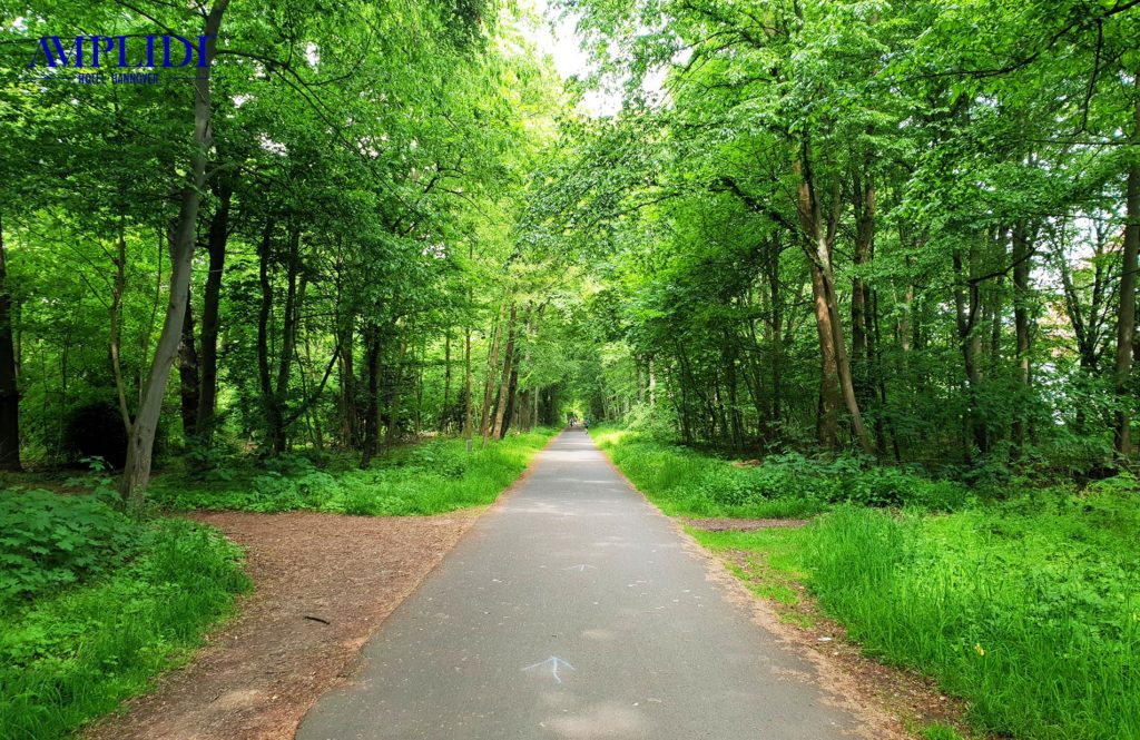 Die Eilenriede
