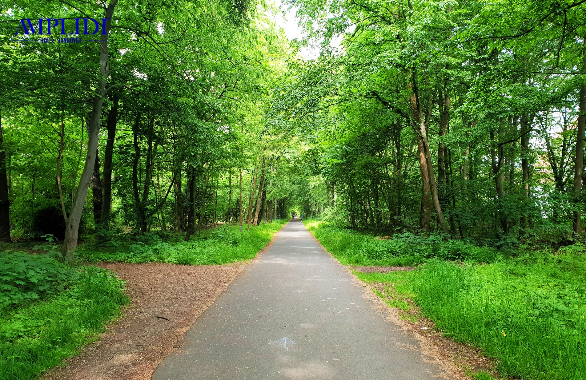 Ein Weg im Eilenriede