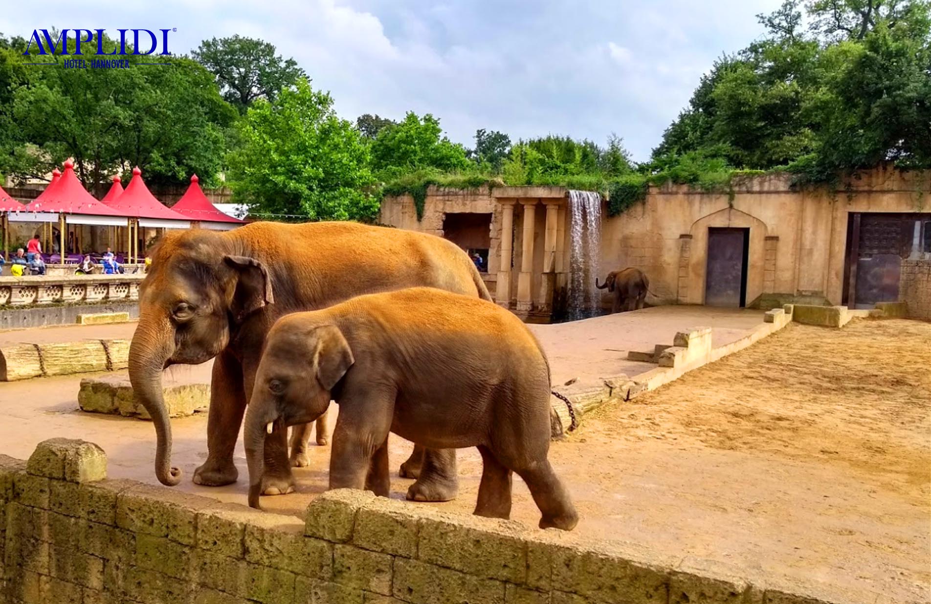 safari zoo niedersachsen